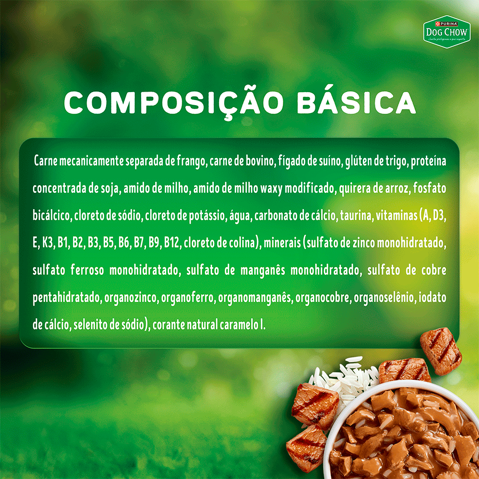 Ração Úmida Nutrição Reforçada Purina Dog Chow para Cães Adultos sabor Carne em Filetes com Arroz - 85 g
