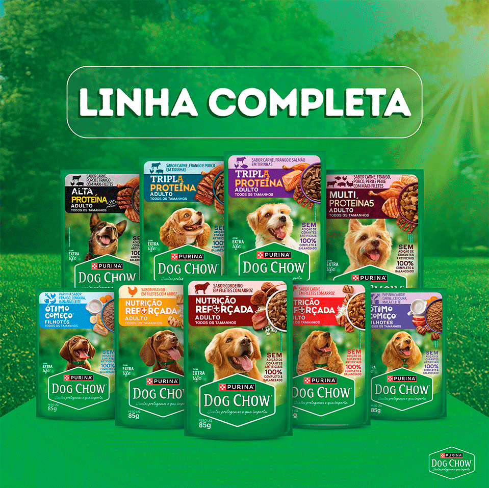 Ração Úmida Nutrição Reforçada Purina Dog Chow para Cães Adultos sabor Carne em Filetes com Arroz - 85 g