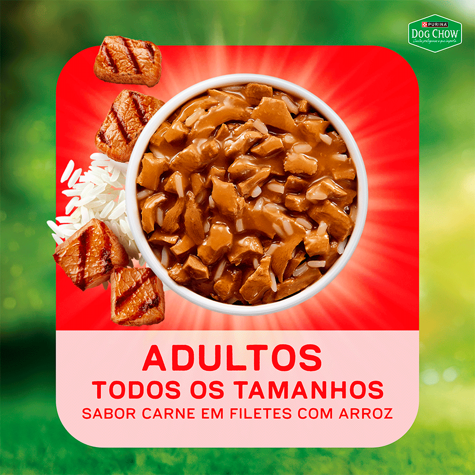 Ração Úmida Nutrição Reforçada Purina Dog Chow para Cães Adultos sabor Carne em Filetes com Arroz - 85 g