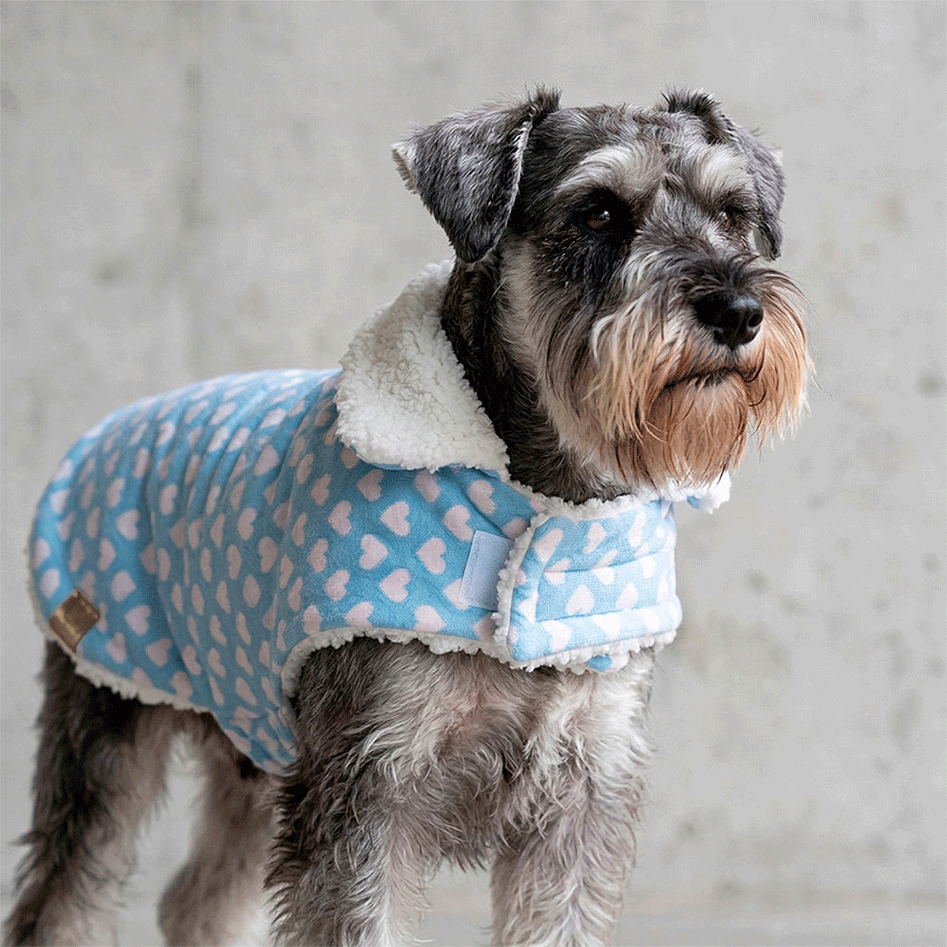 Capa Corações Fábrica Pet para Cães e Gatos Azul - Tam. M