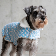 Capa Corações Fábrica Pet para Cães e Gatos Azul - Tam. GG