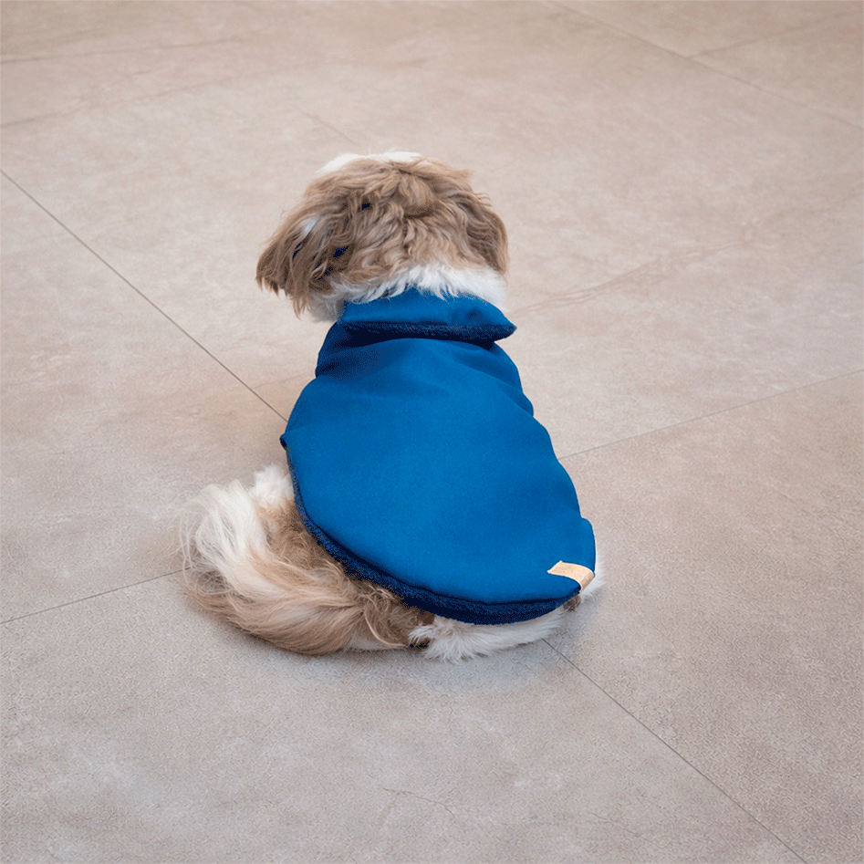 Capa Lisa Oxford Fábrica Pet para Cães e Gatos Azul - Tam. Exg 3