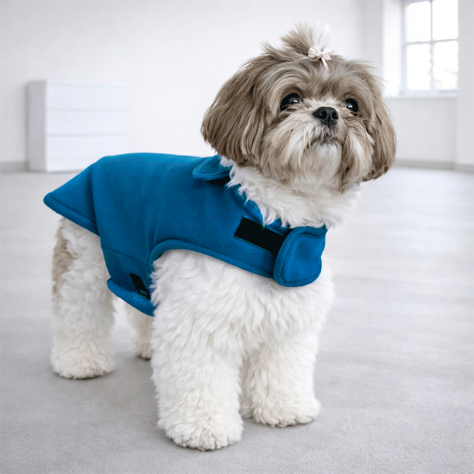 Capa Lisa Oxford Fábrica Pet para Cães e Gatos Azul - Tam. Exg 3