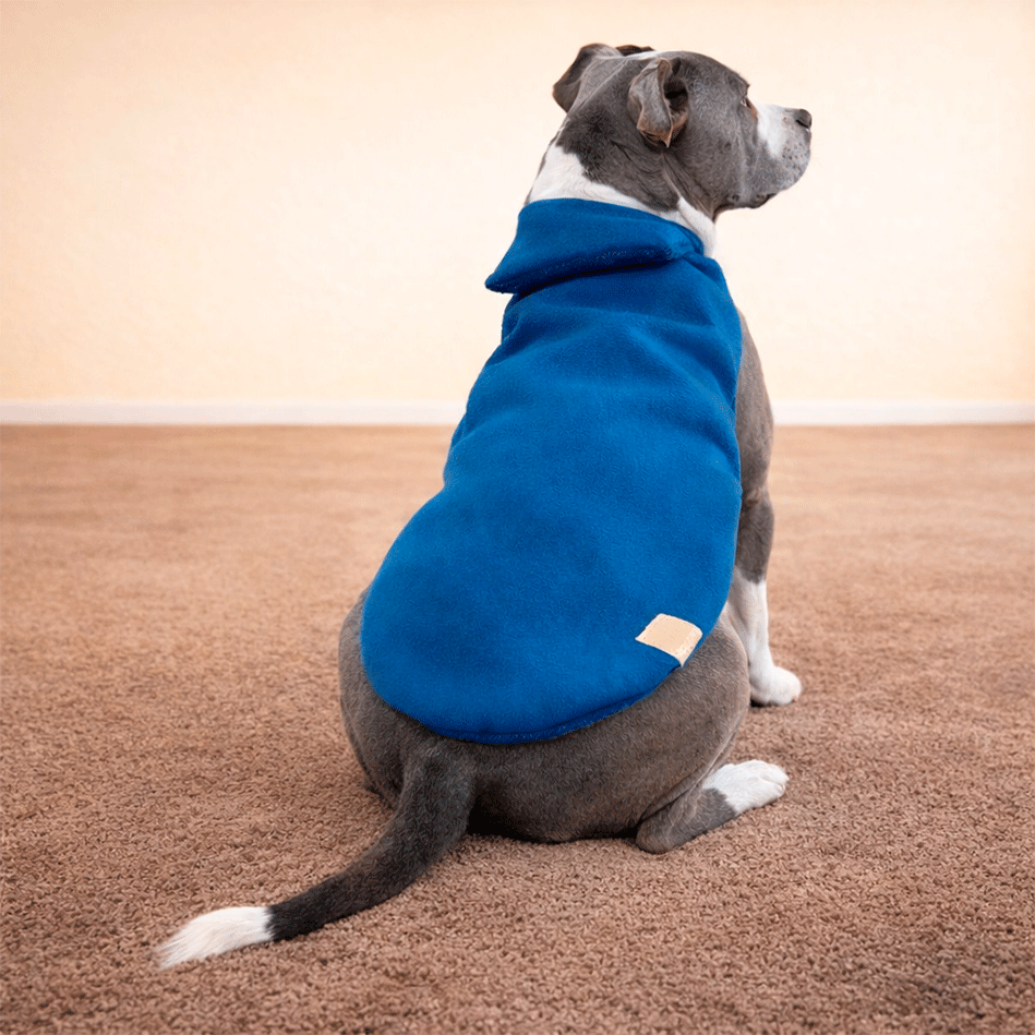 Capa Lisa Oxford Fábrica Pet para Cães e Gatos Azul - Tam. Exg 3
