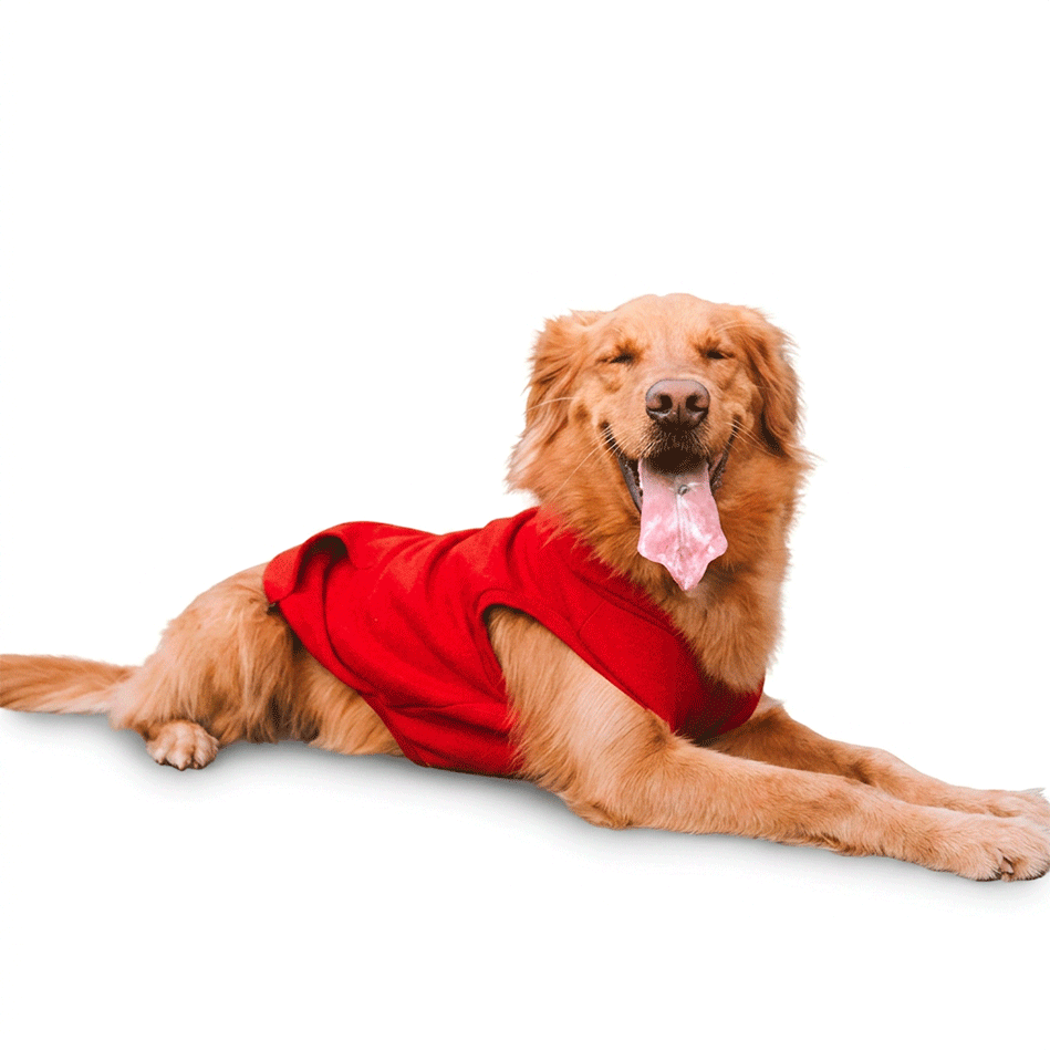 Casacao Moletom Vermelho para Cães e Gatos - Tam. 09