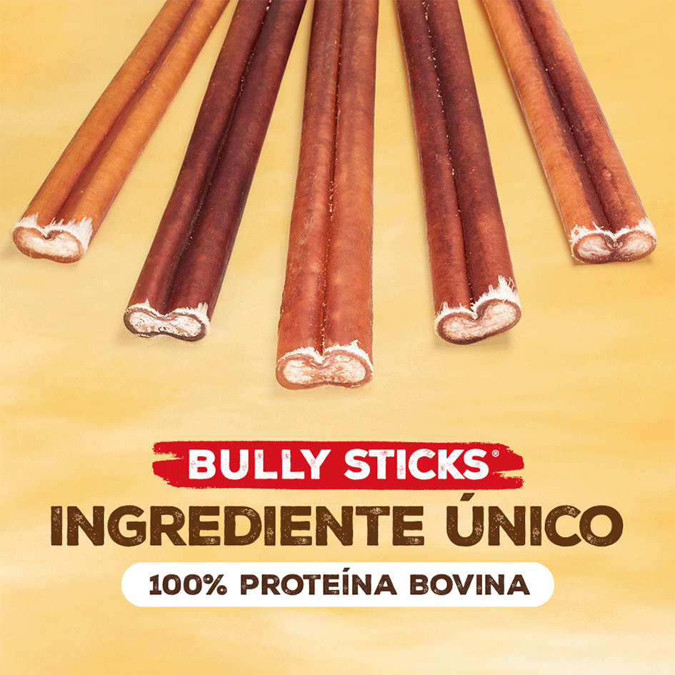 Petisco Natural Farm Bully Sticks para Cães - 15 g