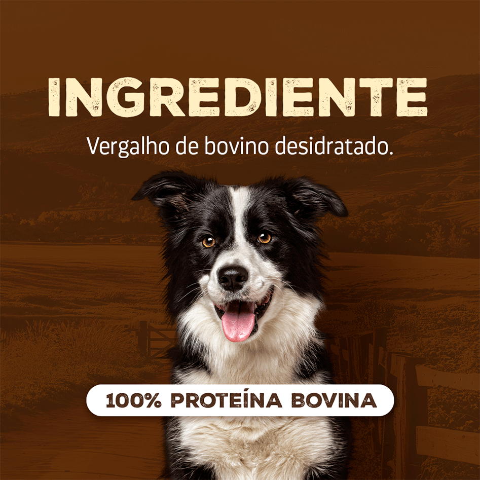 Petisco Natural Farm Bully Sticks para Cães - 15 g