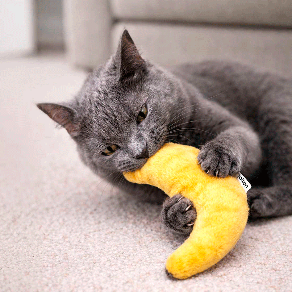 Brinquedo CatFood Big Banana Pelúcia com Catnip para Gatos - Tam. Único