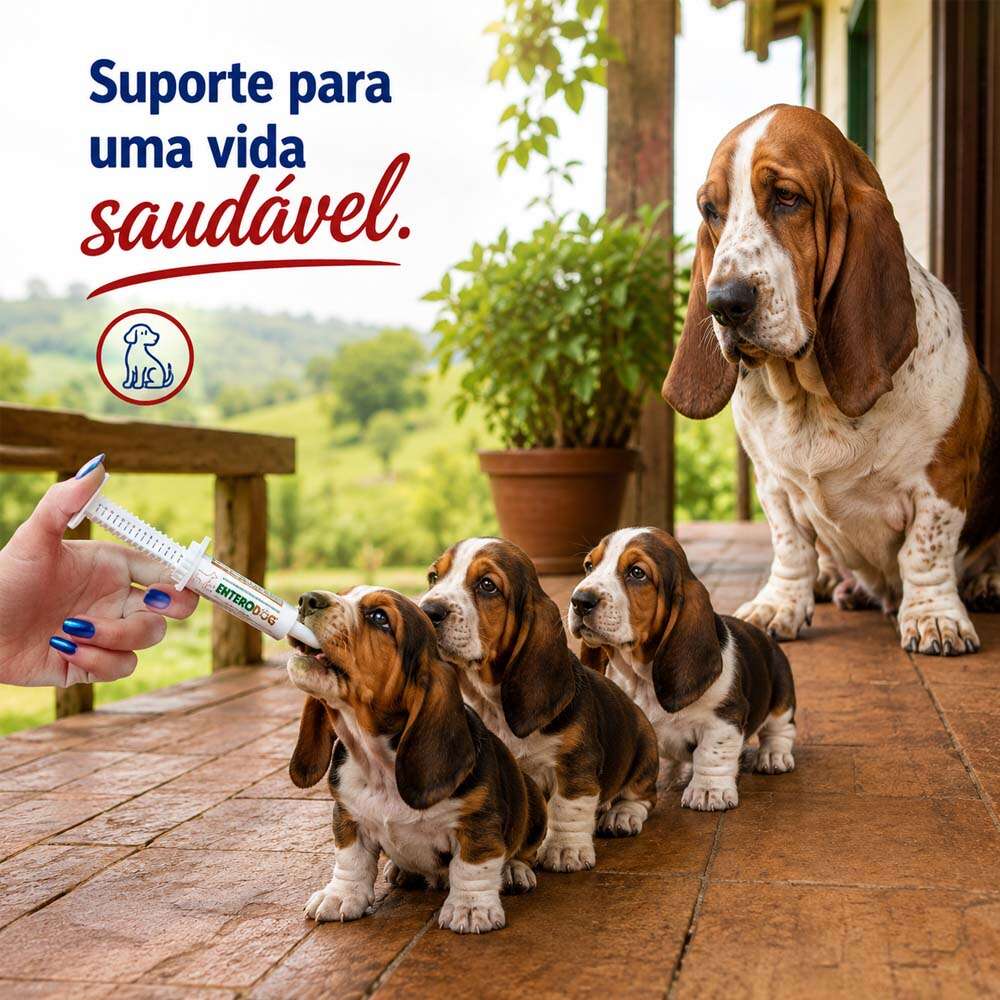 Suplemento Alivet Enterodog Pasta em Seringa - 14 g