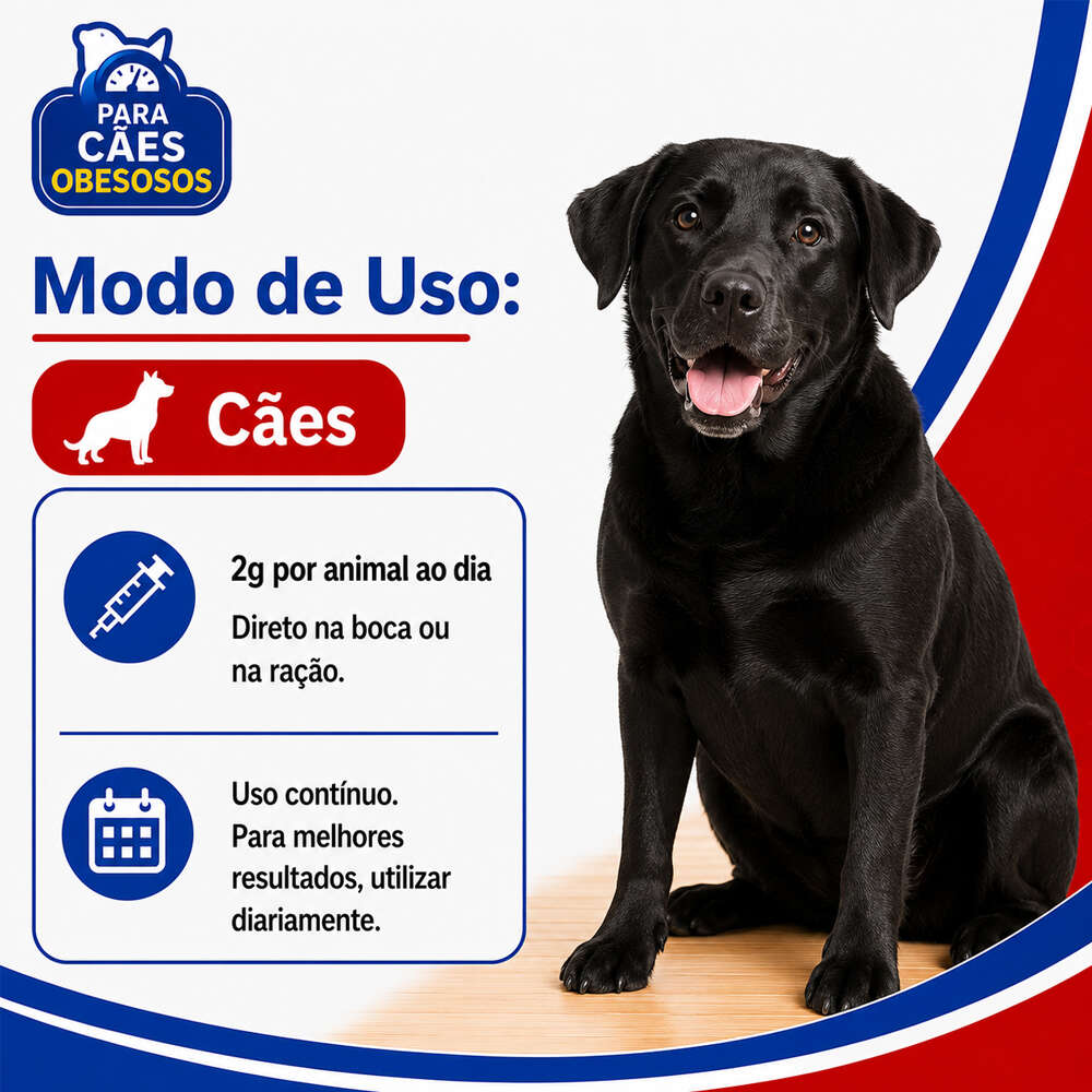 Suplemento Vitamínico Mineral Aminoácido Alivet Dog Slim Pasta - 14 g
