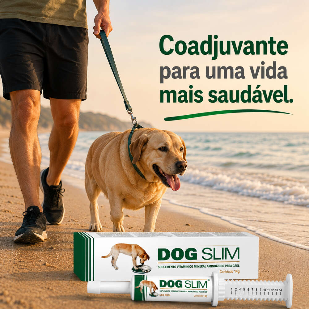 Suplemento Vitamínico Mineral Aminoácido Alivet Dog Slim Pasta - 14 g