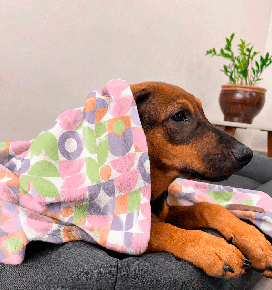 Cobertor Fábrica Pet Ultra Soft Transport - Tam. Único