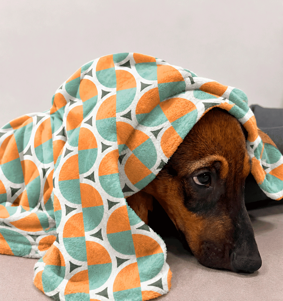 Cobertor Fábrica Pet Ultra Soft Ursinhos Carinhosos - Tam. Único