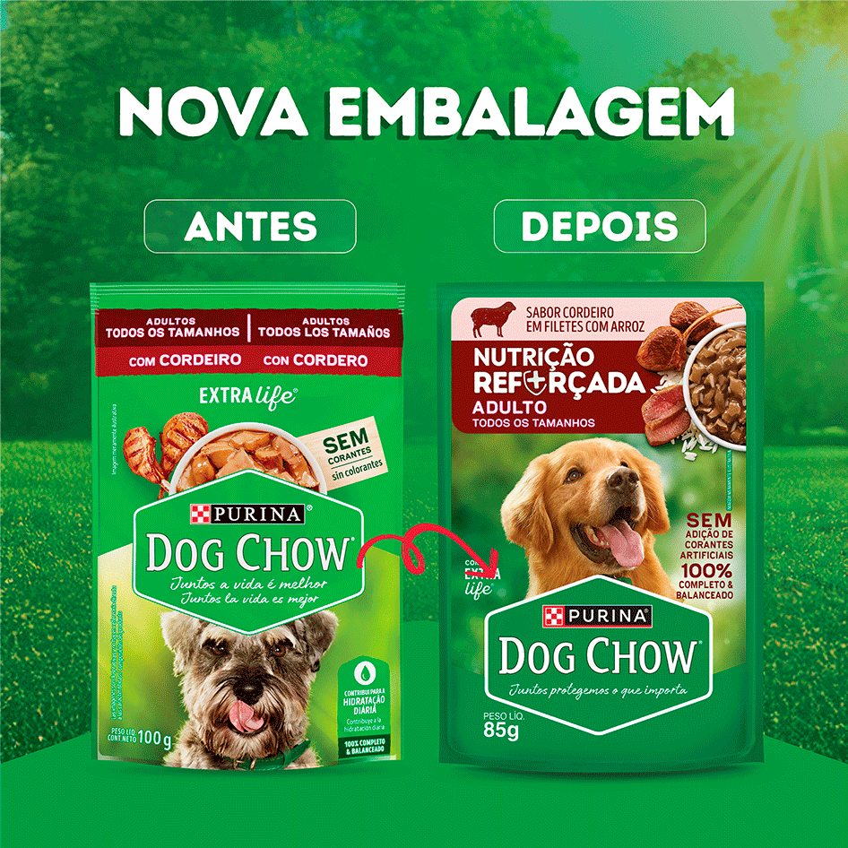 Ração Úmida Nutrição Reforçada Purina Dog Chow para Cães Adultos sabor Cordeiro em Filetes com Arroz - 85 g