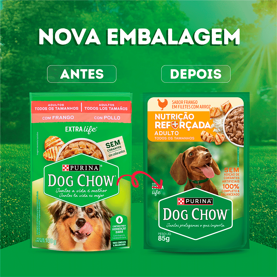 Ração Úmida Nutrição Reforçada Purina Dog Chow para Cães Adultos sabor Frango em Filetes com Arroz - 85 g