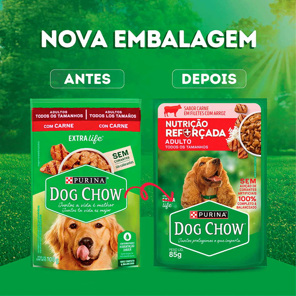 Ração Úmida Nutrição Reforçada Purina Dog Chow para Cães Adultos sabor Carne em Filetes com Arroz - 85 g