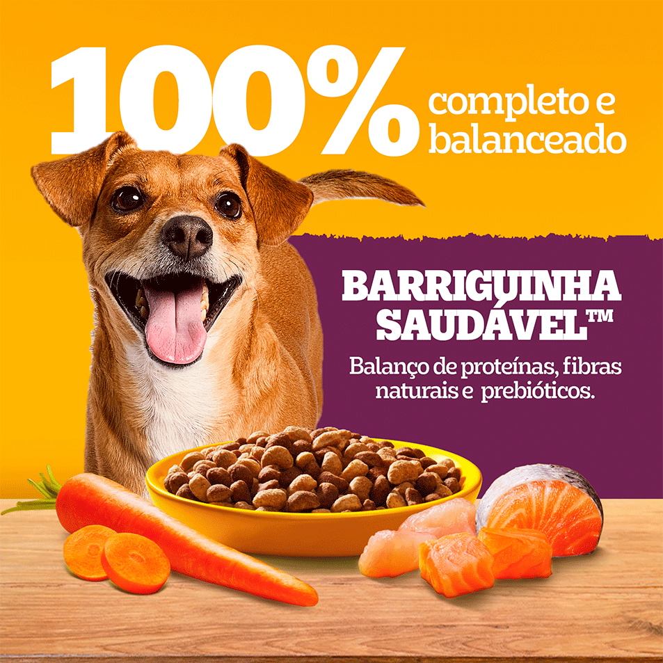 Ração Seca Pedigree Barriguinha Saudável para Cães Adultos Raças Pequenas e Minis sabor Salmão - 7Kg