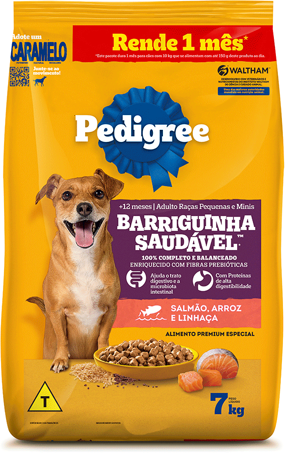 Ração Seca Pedigree Barriguinha Saudável para Cães Adultos Raças Pequenas e Minis sabor Salmão - 7Kg