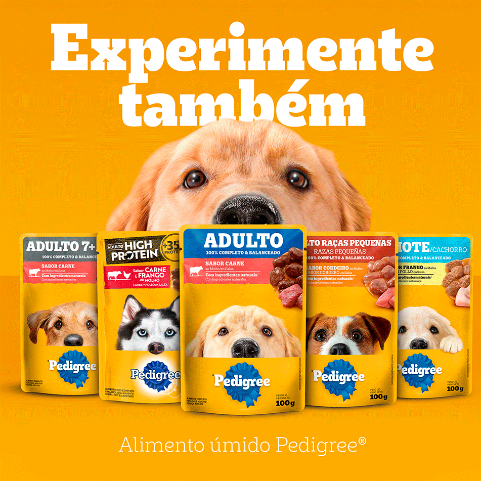 Ração Seca Pedigree Barriguinha Saudável para Cães Adultos Raças Pequenas e Minis sabor Salmão - 7Kg