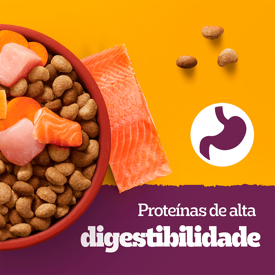 Ração Seca Pedigree Barriguinha Saudável para Cães Adultos Raças Pequenas e Minis sabor Salmão - 7Kg