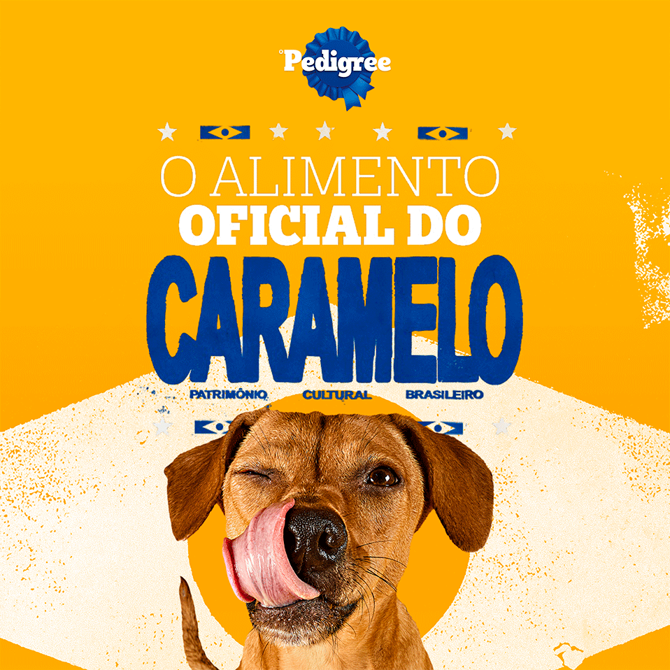 Ração Seca Pedigree Barriguinha Saudável para Cães Adultos Raças Pequenas e Minis sabor Salmão - 7Kg