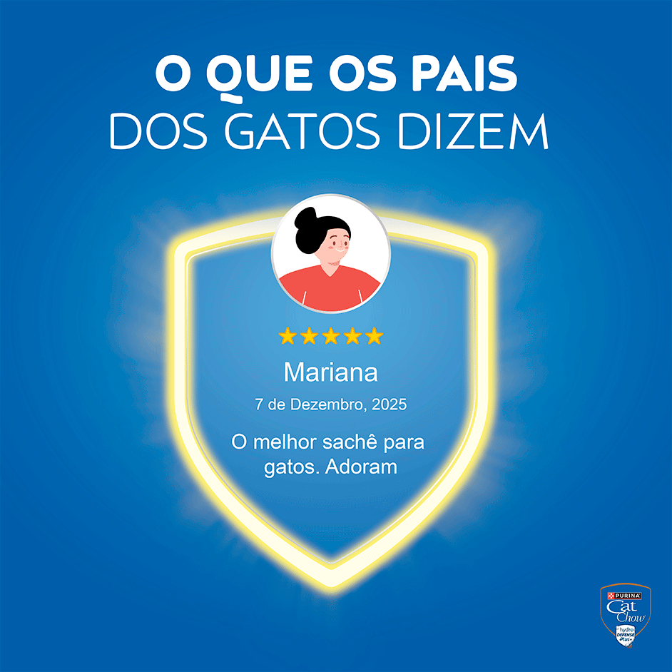 Ração Úmida Nestlé Purina Cat Chow Sachê Adultos Carne ao Molho - 85 g
