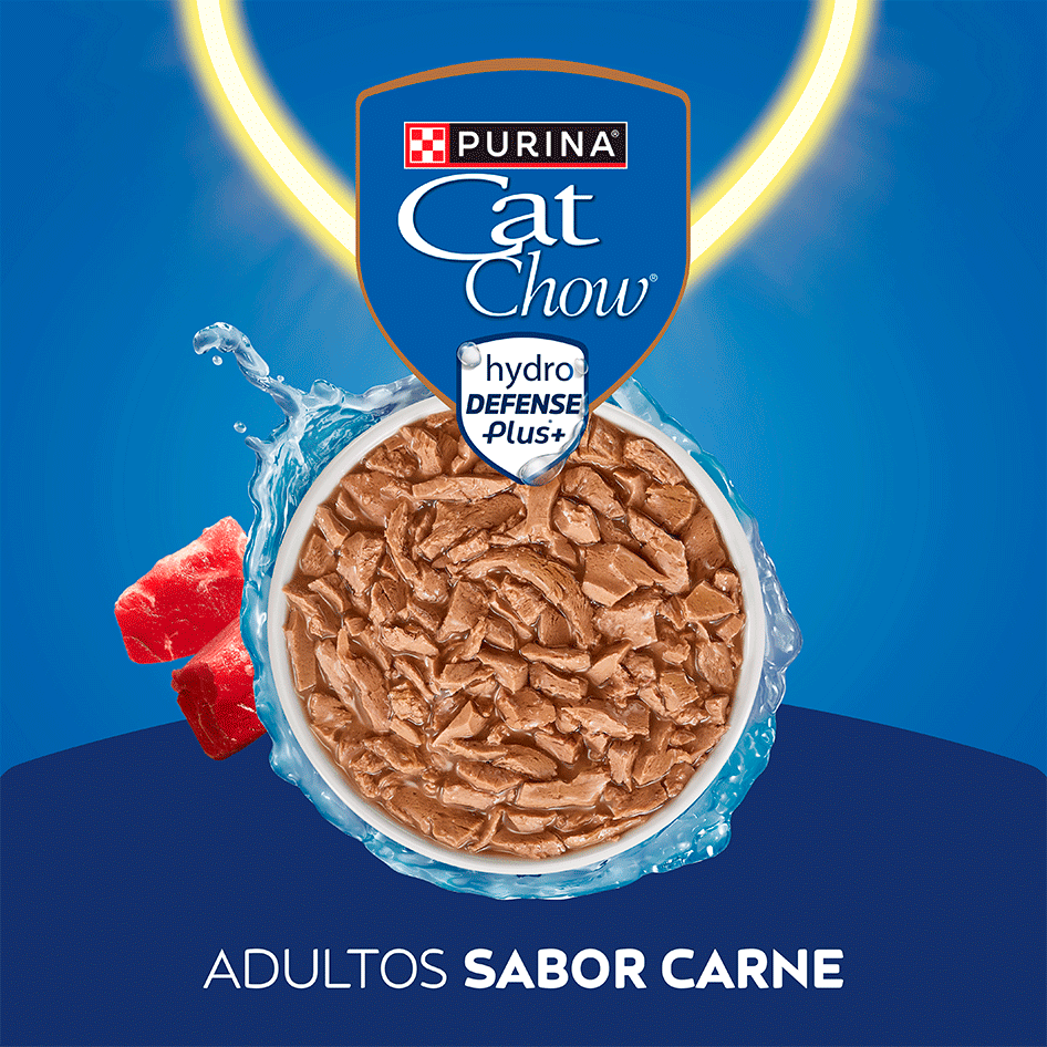 Ração Úmida Nestlé Purina Cat Chow Sachê Adultos Carne ao Molho - 85 g