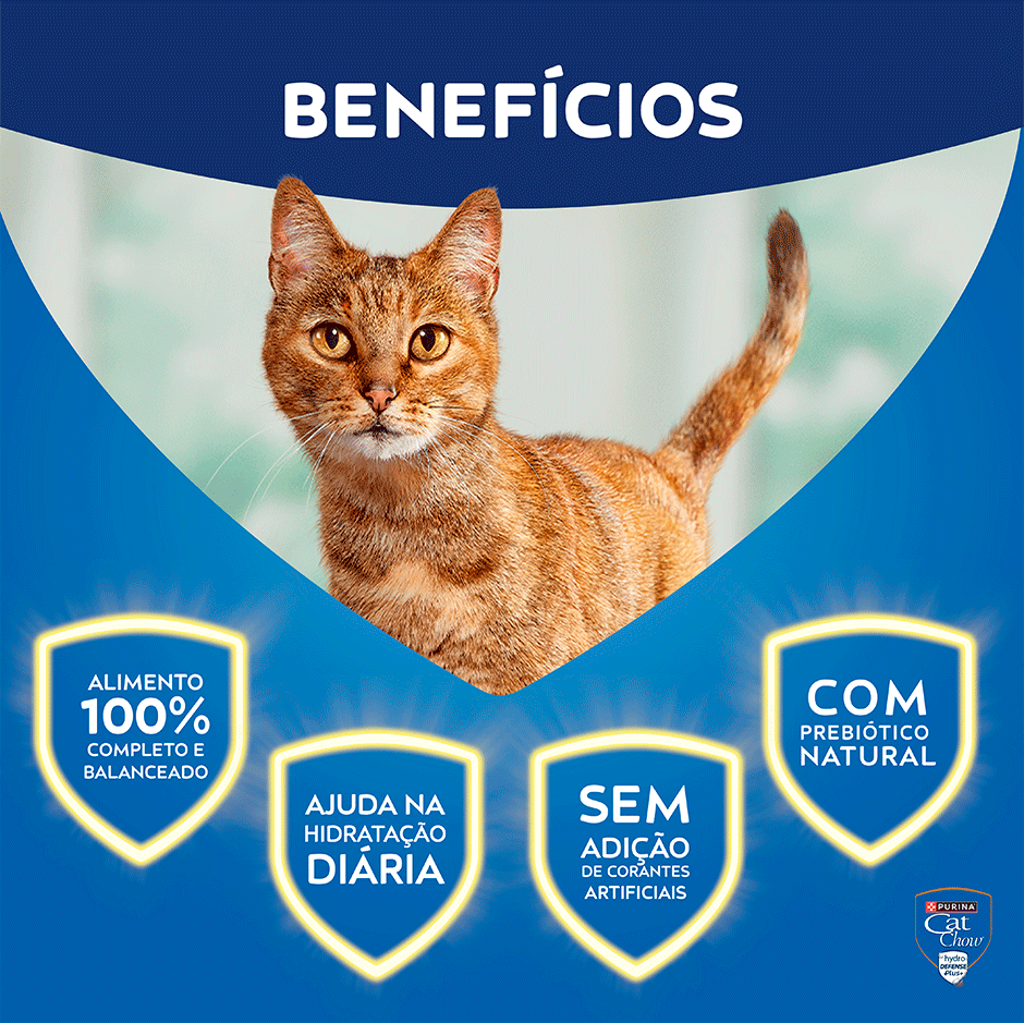 Ração Úmida Nestlé Purina Cat Chow Sachê Adultos Carne ao Molho - 85 g