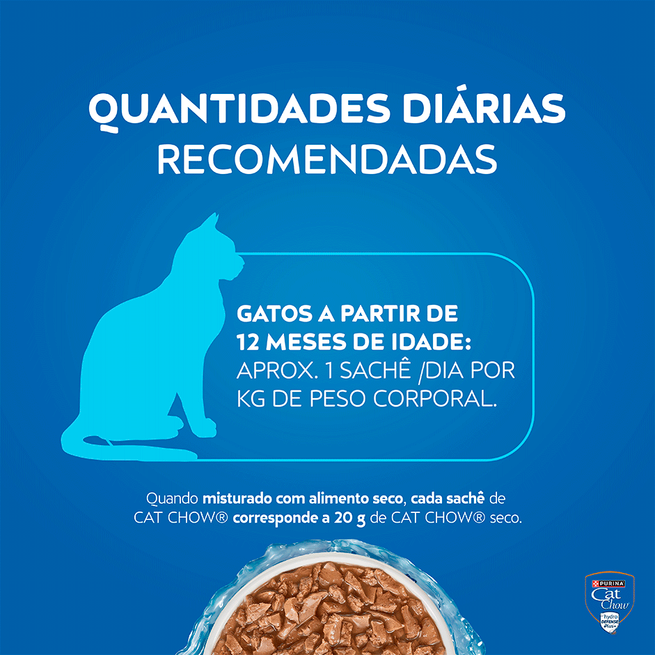 Ração Úmida Nestlé Purina Cat Chow Sachê Adultos Carne ao Molho - 85 g