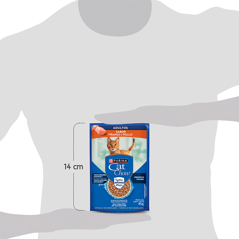 Ração Úmida Nestlé Purina Cat Chow Sachê Adultos Frango ao Molho - 85 g