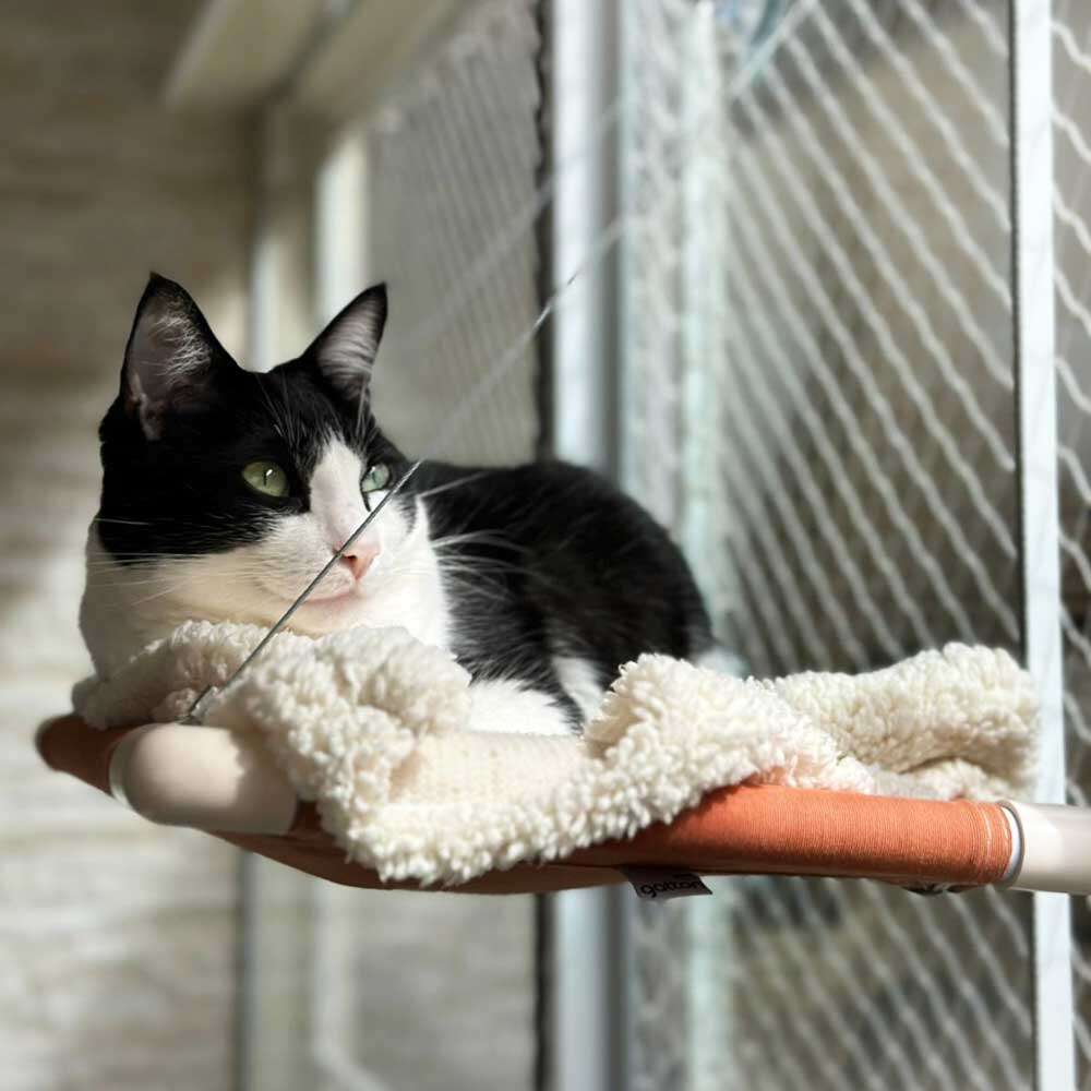 Manta Fofinha Gatton Carneirinho Extra Macia Creme para Cães e Gatos - Tam. Único