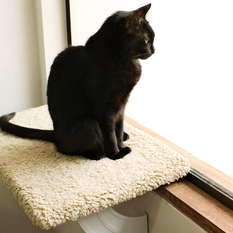 Cama de Janela Spacecat Lunar para Gatos - Tam. Único
