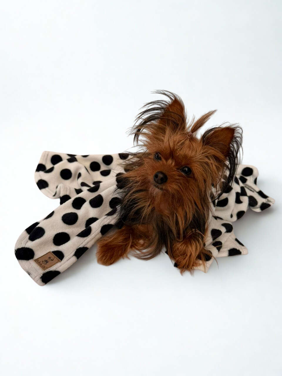 Cobertor Bichinho Chic Basic Preto Estampado para Cães e Gatos - Tam. M