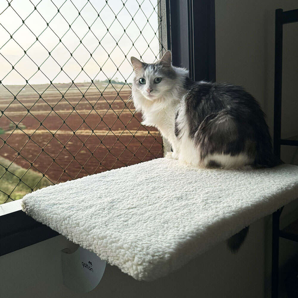 Cama de Janela Spacecat Gatton Apollo Creme para Gatos - Tam. Único