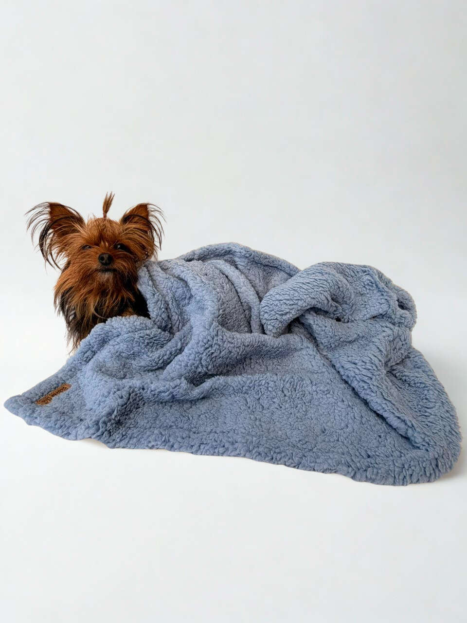 Cobertor Bichinho Chic Soninho Azul para Cães e Gatos - Tam. M
