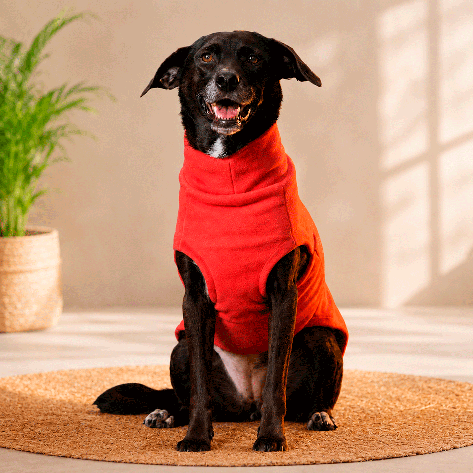 Blusa Pacco Puppy Fleece Rosado para Cães - Tam. P