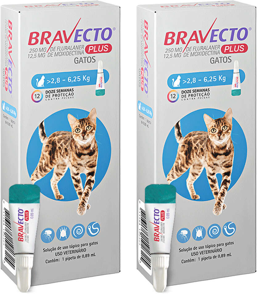Antipulgas Bravecto Transdermal Plus 250 mg para Gatos de 2,8 a 6,25Kg - 2 Caixas (2 Pipetas)