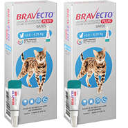 Antipulgas Bravecto Transdermal Plus 250 mg para Gatos de 2,8 a 6,25Kg - 2 Caixas (2 Pipetas)