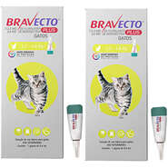 Antipulgas Bravecto Transdermal Plus 112,5 mg para Gatos de 1,2 a 2,8Kg - 2 Caixas (2 Pipetas)