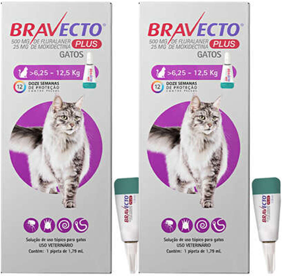 Antipulgas Bravecto Transdermal Plus para Gatos de 6,25 a 12,5Kg - 2 Caixas (2 Pipetas)