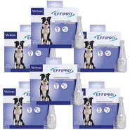 Antipulgas e Carrapatos Virbac Effipro 1,34 mL Cães de 10 até 20Kg - 6 Caixas (6 Pipetas)