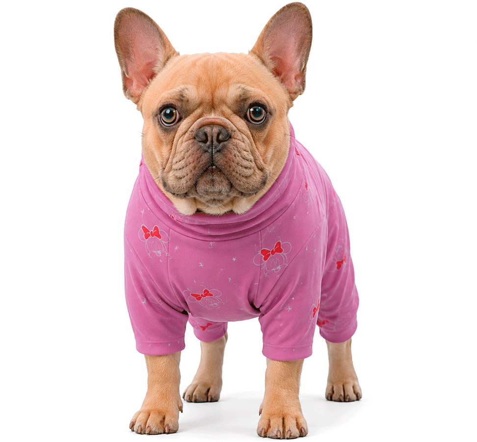 Pijama Disney Minnie Rosa - Tam. 03