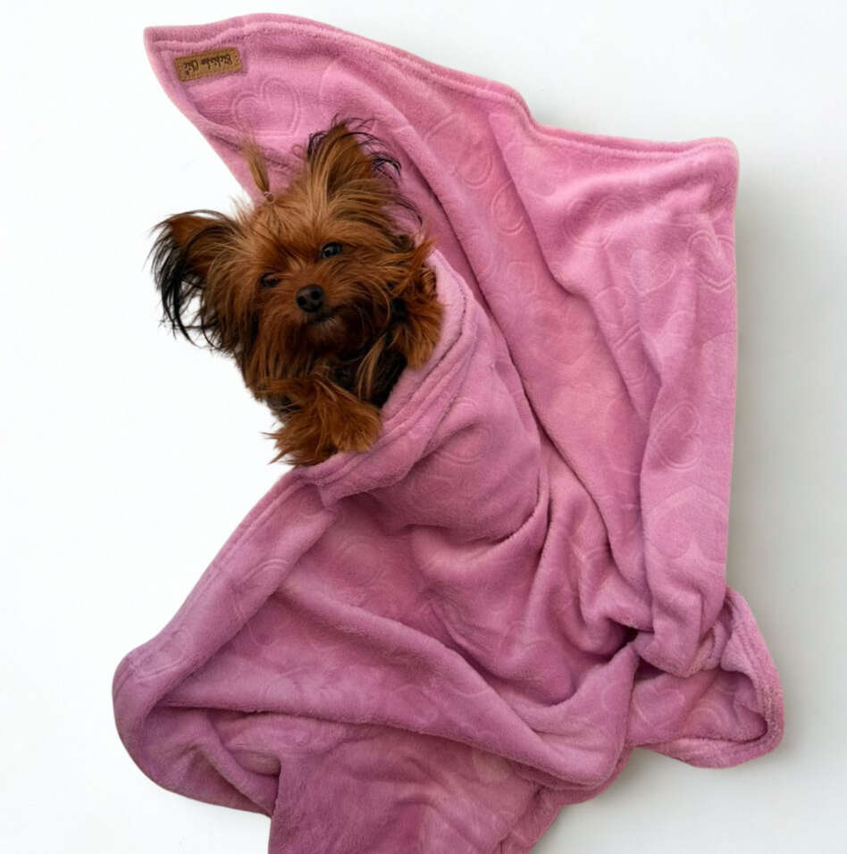 Cobertor Bichinho Chic Soninho Rosa Escuro para Cães e Gatos - Tam. M