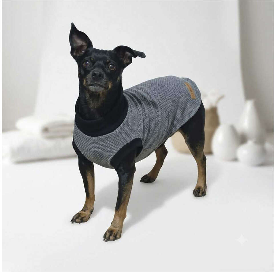 Blusa Colmeia Cinza - Tam. 04