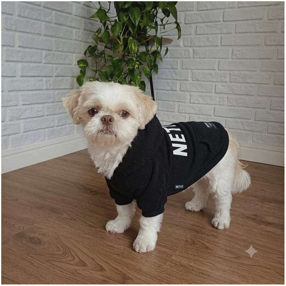Moletom Future Pet Netflix Preto para Cães - Tam. P