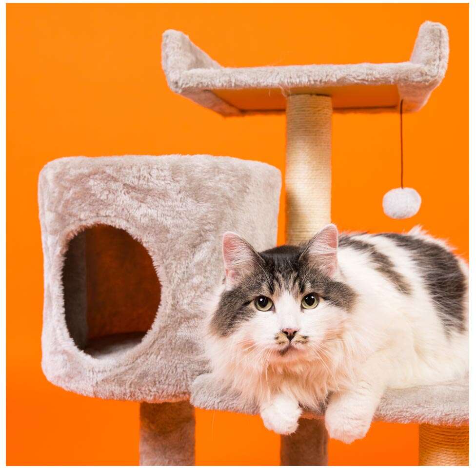 Brinquedo Arranhador Torre Meau 3 andares para Gatos - Tam. Único