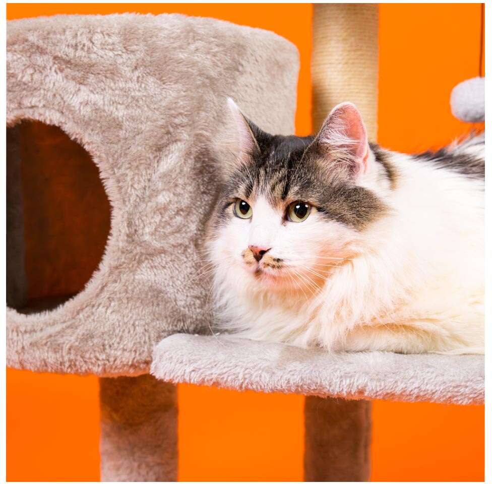 Brinquedo Arranhador Torre Meau 3 andares para Gatos - Tam. Único