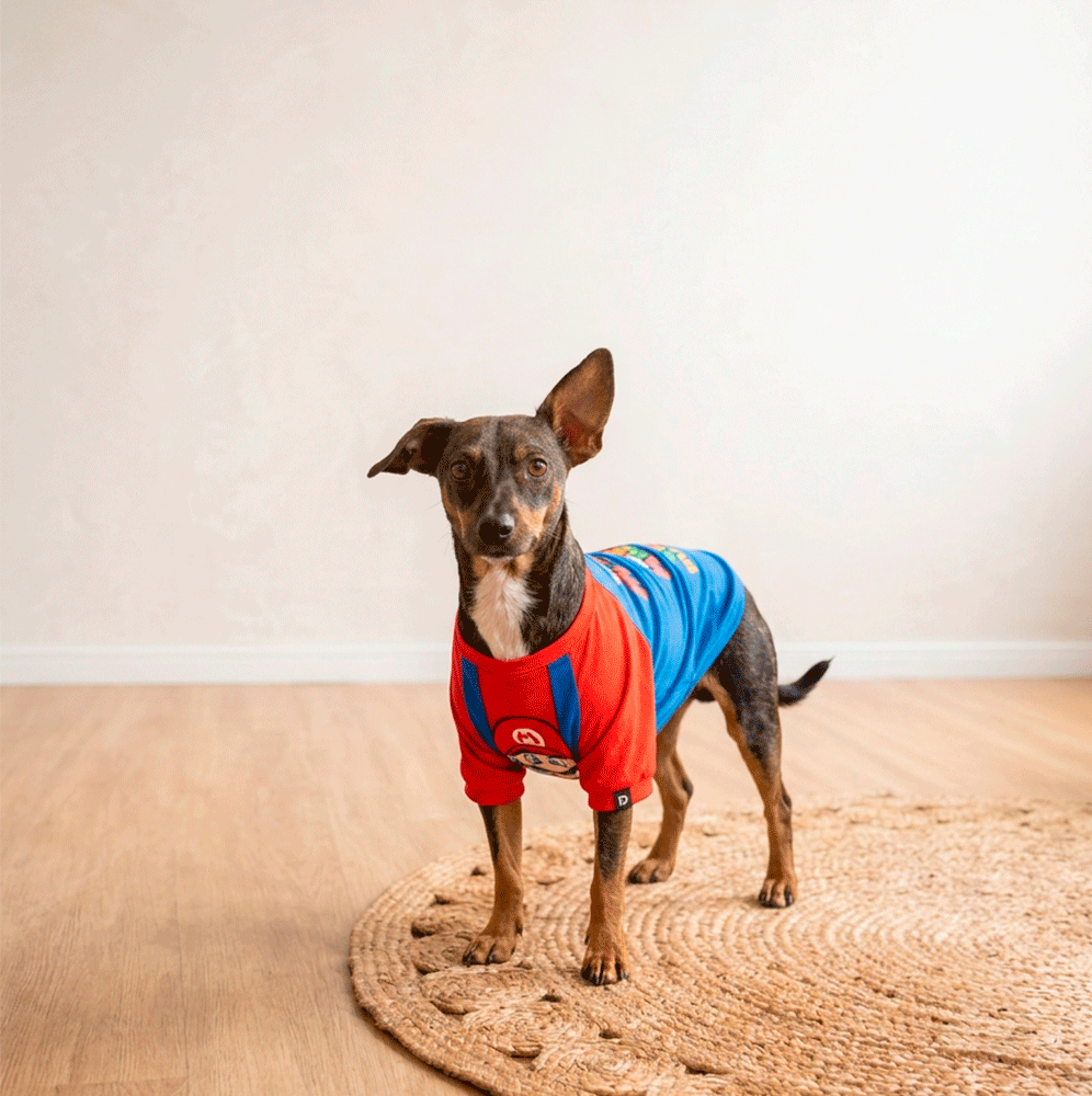Camiseta Pet Super Doguito - Tam. 06