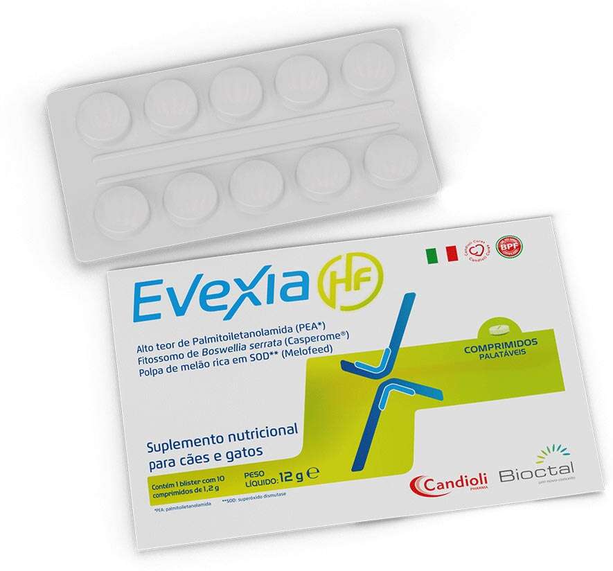 Suplemento Nutricional Bioctal Evexia para Cães e Gatos - 12 g
