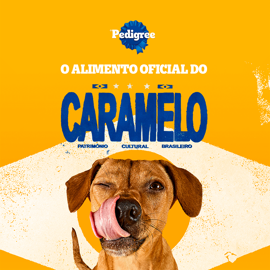 Biscoito Pedigree Biscrok para Cães Adultos Raças Pequenas sabor Maça, Linhaça e Aveia - 500 g